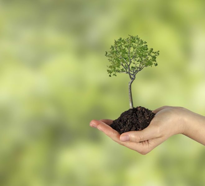 Environmental Benefits of Solar Power